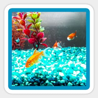 Goldfish swimming Sticker